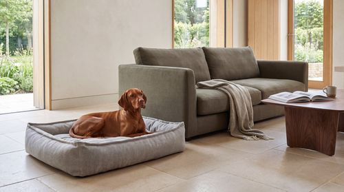 Sterling Lounge Bed, with a dog on it