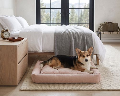 Tango Multi Bed in Blush