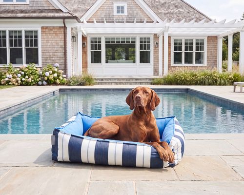 Terrace Bed, with a dog on it