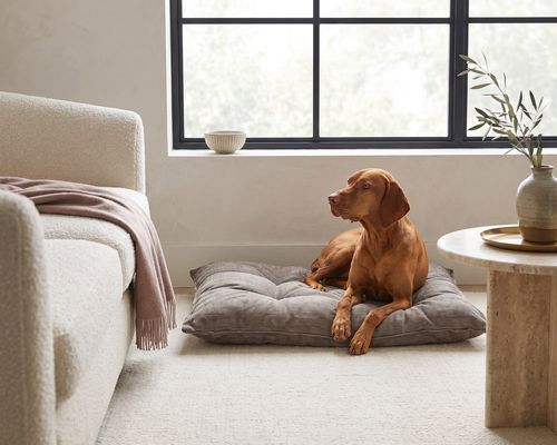 Tufted Cushion in Mousse