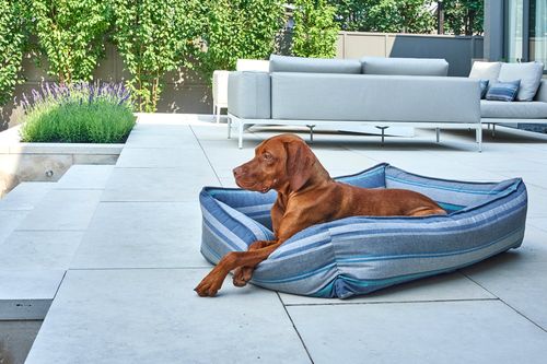 Outdoor Urban Lounger, with a dog on it