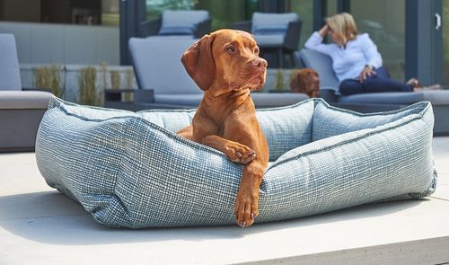 Urban Lounger in Hampton