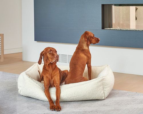 Urban Lounger in Ivory Sheepskin
